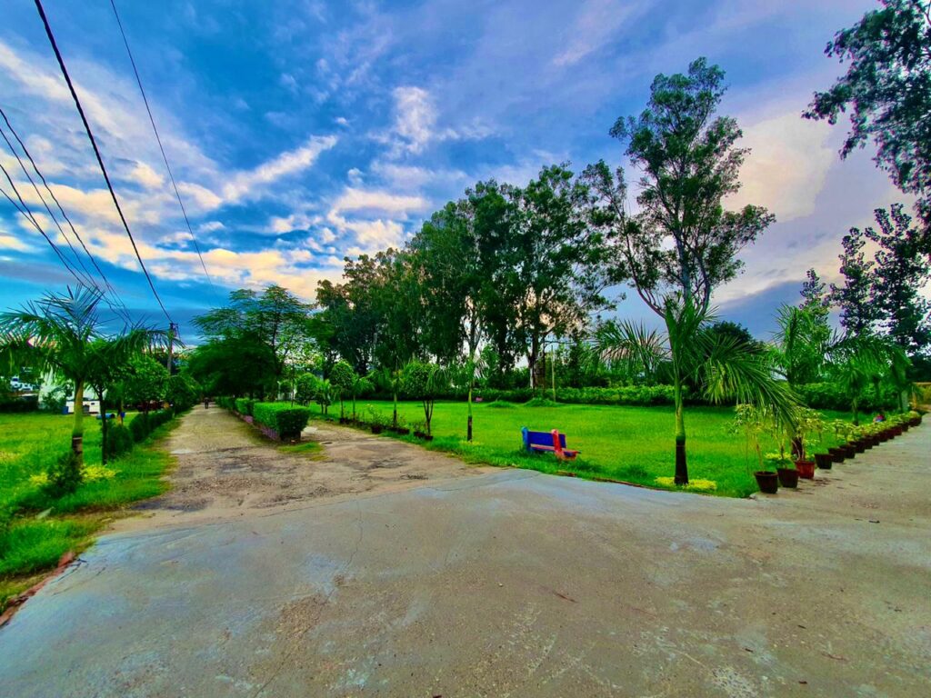 WhatsApp Image 2025-05-19 at 4.43.56 PM (1)